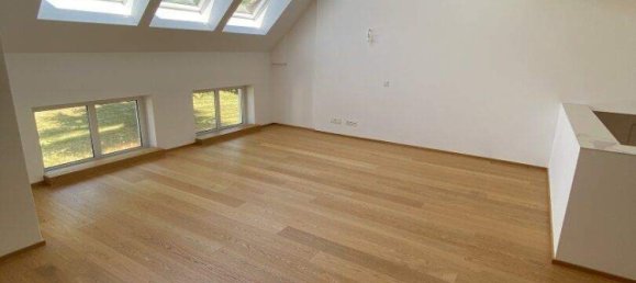 Villa de 11 habitaciónes en Hinterbruhl, Austria No. 114278 20