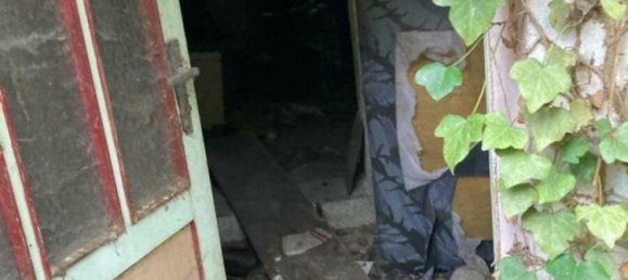 4-salle Maison à Salzlandkreis, Germany No. 251111 2