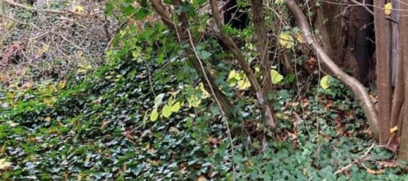 4-salle Maison à Salzlandkreis, Germany No. 251111 3