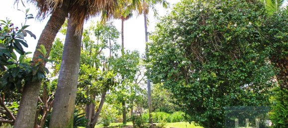 6 Schlafzimmer Haus in Funchal, Portugal, Nr. 84775 11