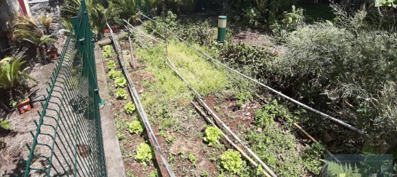 6 Schlafzimmer Haus in Funchal, Portugal, Nr. 84775 10