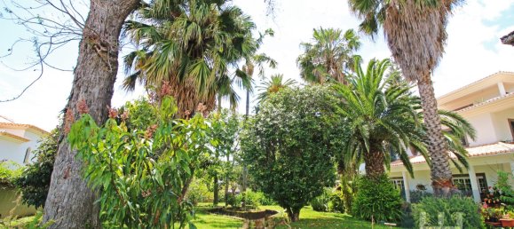 6 Schlafzimmer Haus in Funchal, Portugal, Nr. 84775 14