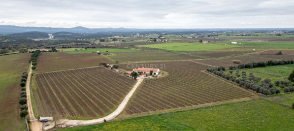 Casa T3 em Estremoz, Portugal N.º 97736 34