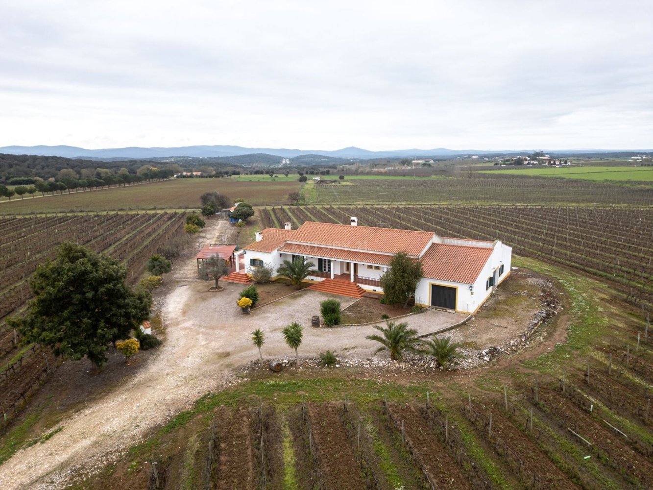 Casa T3 em Estremoz, Portugal N.º 97736