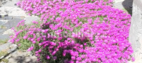 Дом с 3 спальнями в Вальдуджа, Италия № 124280 3