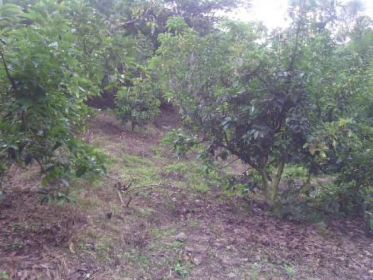 Casa de 7 dormitorios en Antioquia, Colombia No. 6715