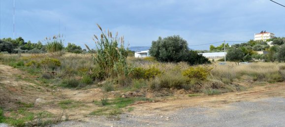  فندق في Rafina, Greece 1750متر مربع رقم 6897 3