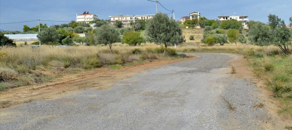 Отель, гостиница 1750м² в Рафина, Рафина-Пикермион, Восточная Аттика, Аттика, Греция № 6897 2