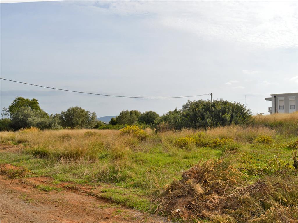 Отель, гостиница 1750м² в Рафина, Рафина-Пикермион, Восточная Аттика, Аттика, Греция № 6897