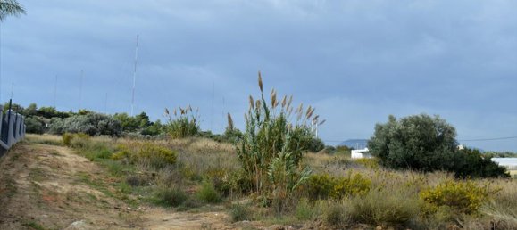  فندق في Rafina, Greece 1750متر مربع رقم 6897 4