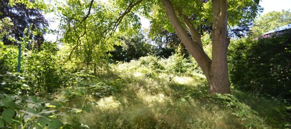 5 rooms House in Bremerhaven, Germany No. 263623 9