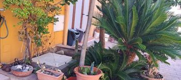 7غرفة فيلا في Sardinia, Italy رقم 309631 4