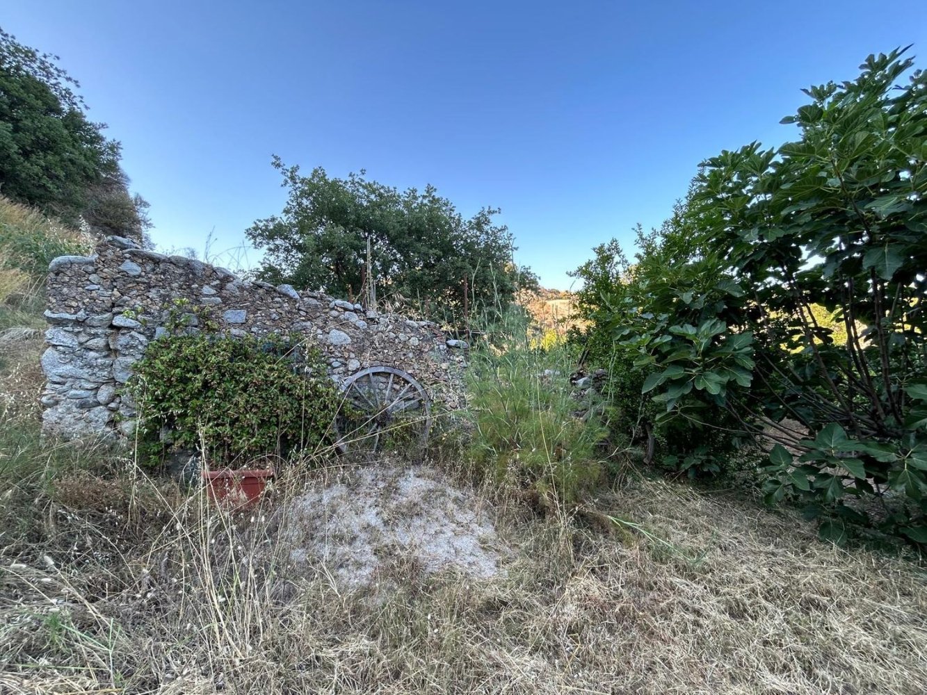 استوديو في Stilo, Italy رقم 308919