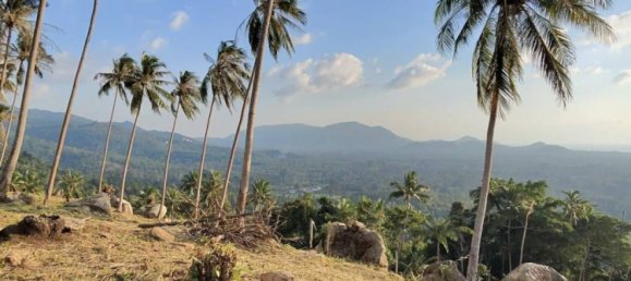 Land in Ko Samui, Thailand No. 26608 6