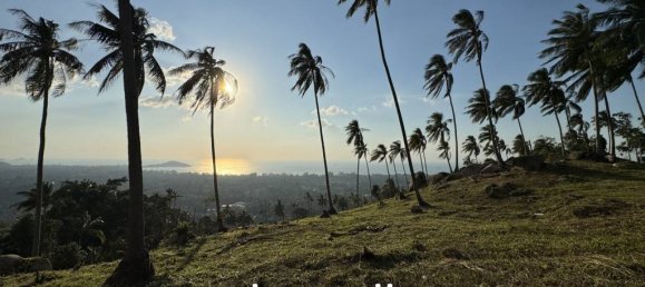 Land in Ko Samui, Thailand No. 26608 3