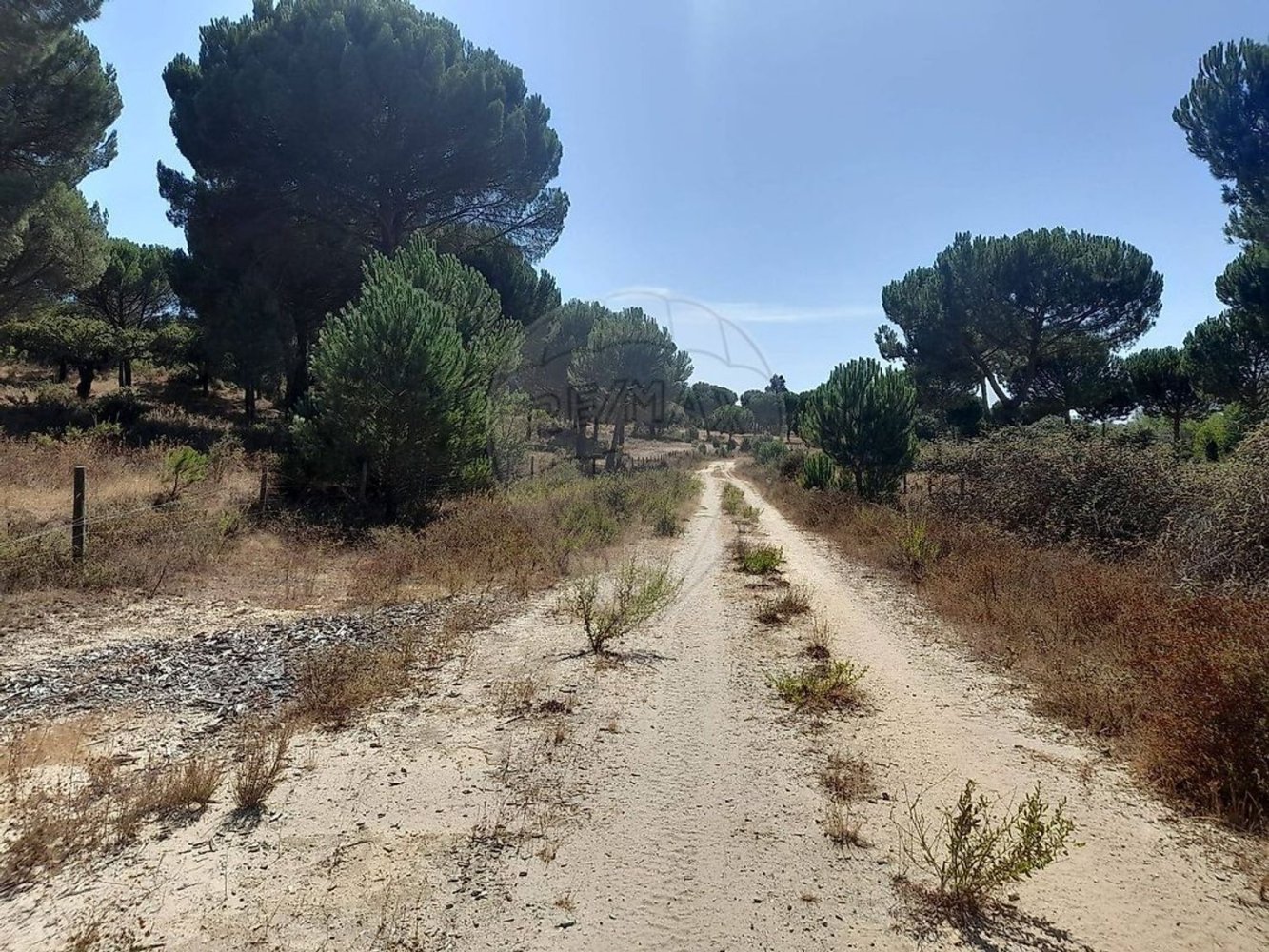Terrain à Benavente, Portugal No. 349749