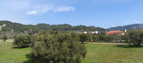 4 bedrooms Commercial property in Chalkidiki, Greece No. 3689 17