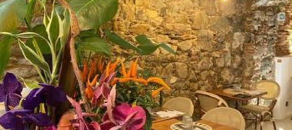 Propriété commerciale à L'Île-Rousse, France 80m² No. 304197 2