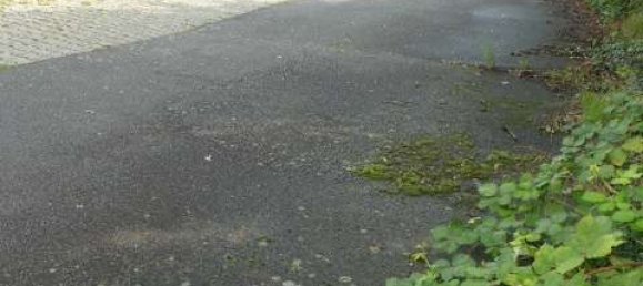 Gebäude in Main-Kinzig, Germany 1736m², Nr. 273496 13