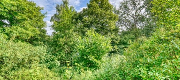 3 bedrooms House in Goslar, Germany No. 361554 31