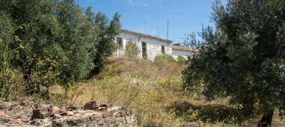 4 bedrooms House in Chamusca, Portugal No. 186170 8