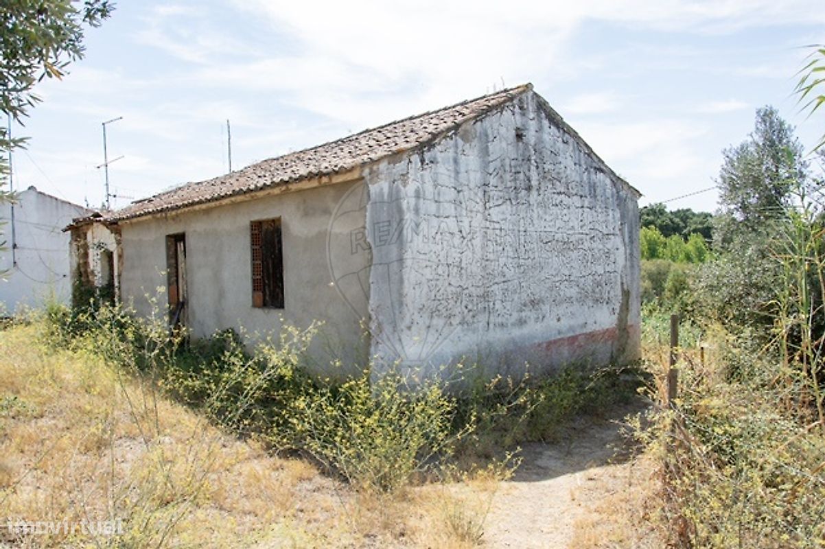 4 bedrooms House in Chamusca, Portugal No. 186170
