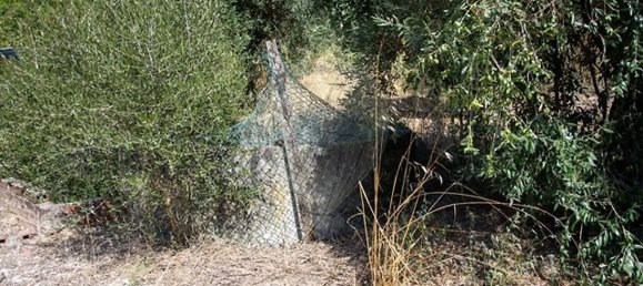 4 bedrooms House in Chamusca, Portugal No. 186170 10