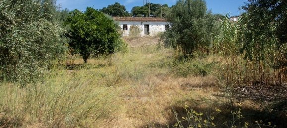 4 bedrooms House in Chamusca, Portugal No. 186170 11