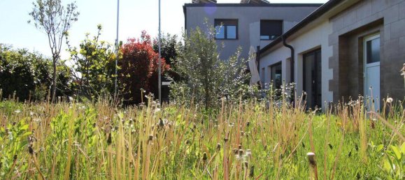 3 bedrooms House in Hagenbrunn, Austria No. 59433 5