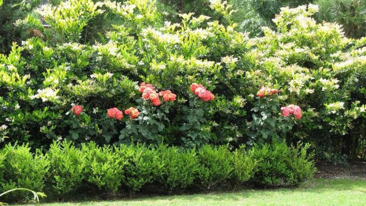  Land in Pilar, Argentina No. 118321