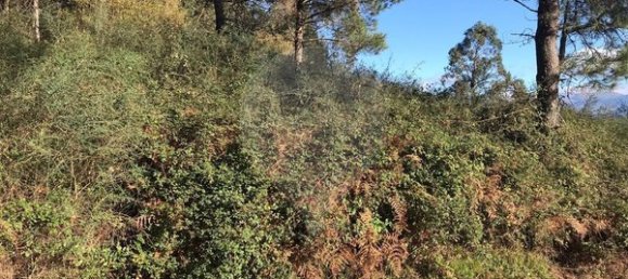 Grundstück in Arcos de Valdevez, Portugal 1400m², Nr. 63132 2