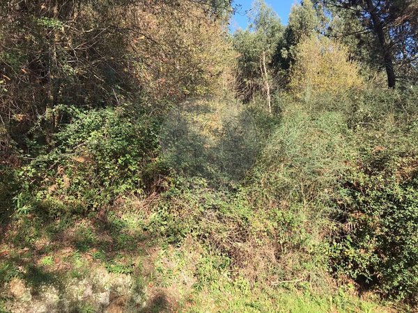 Grundstück in Arcos de Valdevez, Portugal 1400m², Nr. 63132