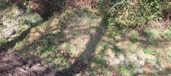 Grundstück in Arcos de Valdevez, Portugal 1400m², Nr. 63132 3