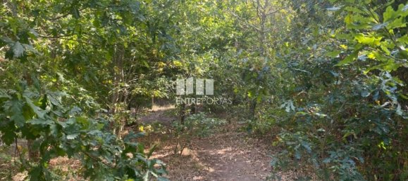 12000m² Land in Amarante, Portugal No. 59380 5