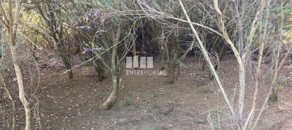 12000m² Land in Amarante, Portugal No. 59380 7