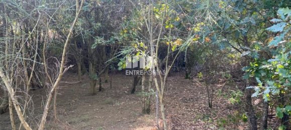 12000m² Land in Amarante, Portugal No. 59380 11