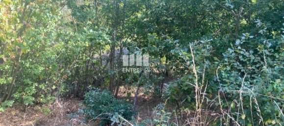 12000m² Land in Amarante, Portugal No. 59380 2