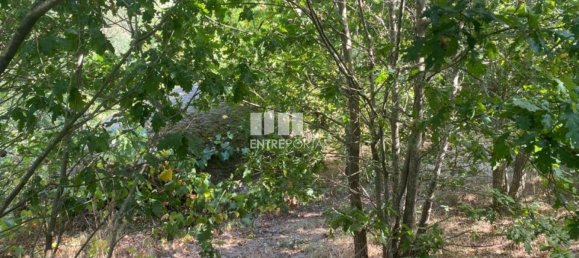 12000m² Land in Amarante, Portugal No. 59380 13