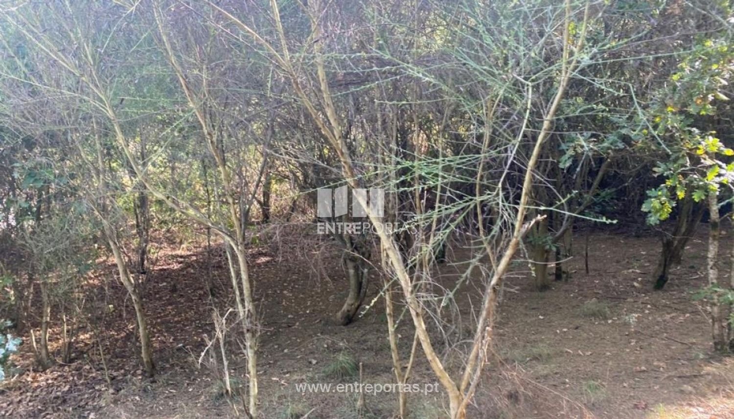 12000m² Land in Amarante, Portugal No. 59380