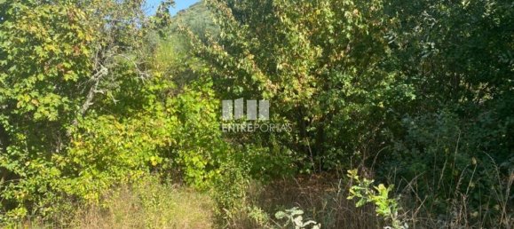 12000m² Land in Amarante, Portugal No. 59380 14