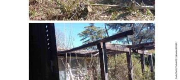 9 rooms Apartment in Sacrofano, Italy No. 27784 2