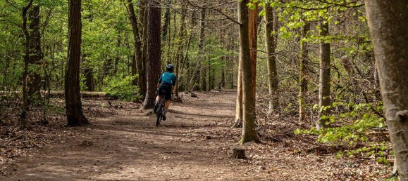 3 rooms Apartment in Zehlendorf, Germany No. 64215 11