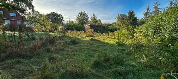 1830m² Land in Kiel, Germany No. 46437 7