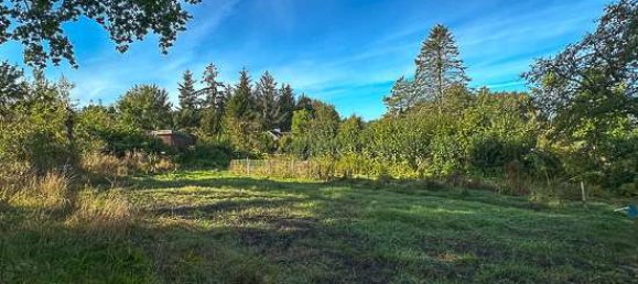 1830m² Land in Kiel, Germany No. 46437 3