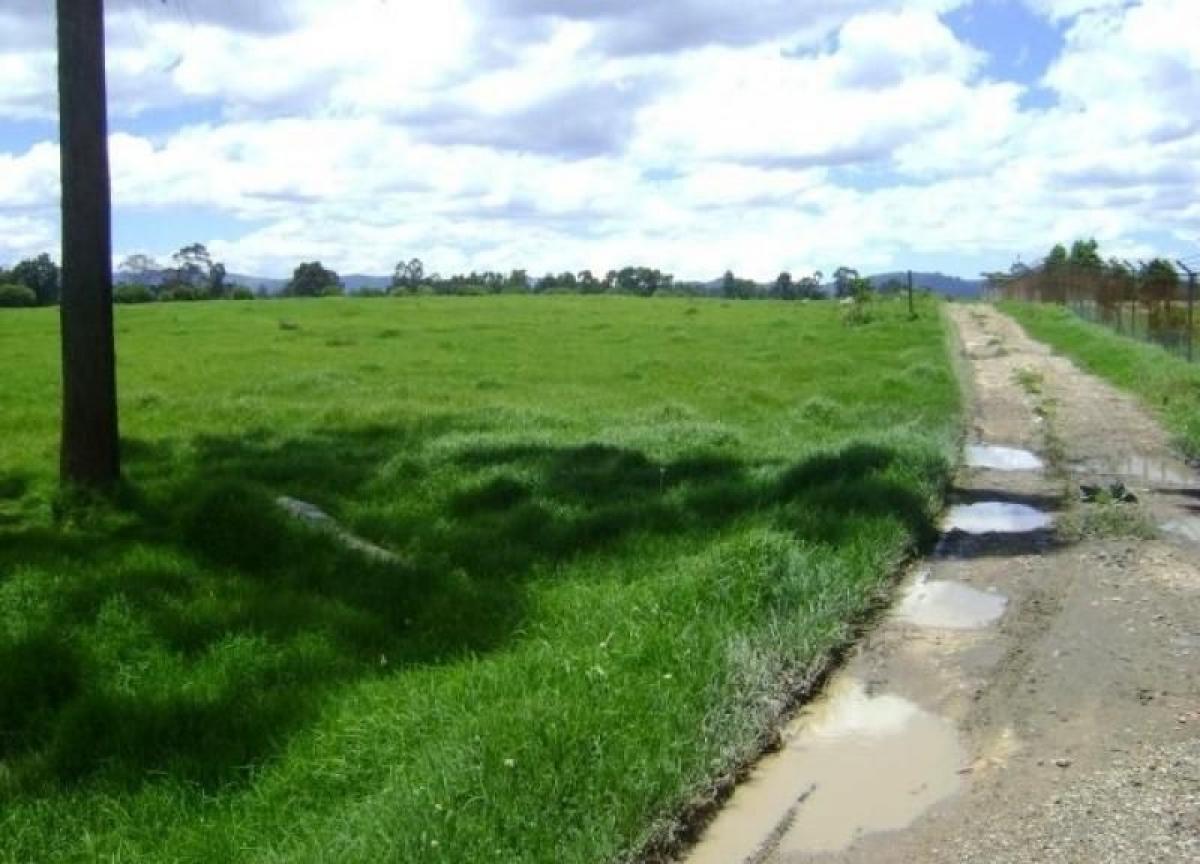 Studio in Cundinamarca, Colombia No. 9466