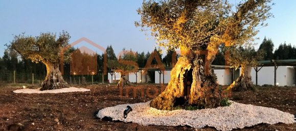 Hotel T18 em São Teotónio, Portugal N.º 56481 36