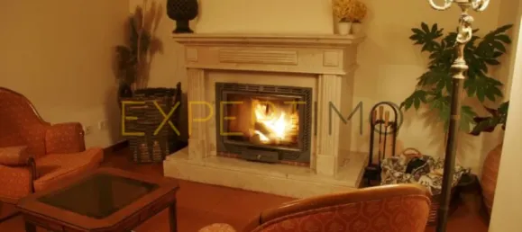 20 bedrooms Hotel in Abrunhosa a Velha, Portugal No. 41361 21