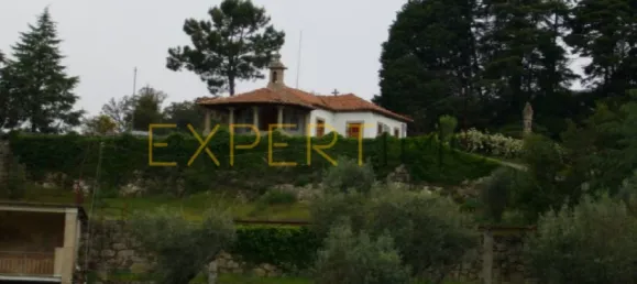 20 bedrooms Hotel in Abrunhosa a Velha, Portugal No. 41361 25