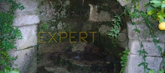 20 bedrooms Hotel in Abrunhosa a Velha, Portugal No. 41361 13