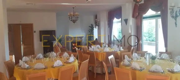 20 bedrooms Hotel in Abrunhosa a Velha, Portugal No. 41361 23